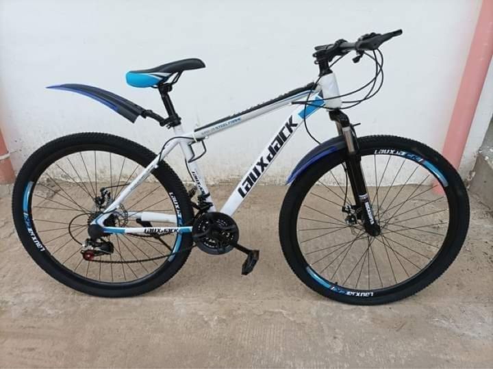 Lauxjack mountain 2024 bike price