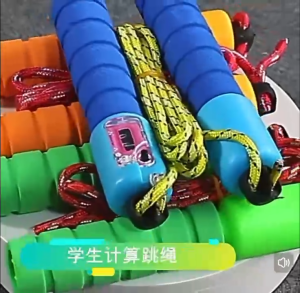 ZH252 Fitness Rope Skipping Tangle-Free with Ball Bearings Rapid Speed Jump Rope Cable Counting Skipping Nylon Rope