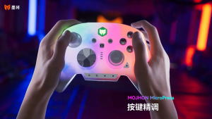 New BIGBIG WON Rainbow3 Wireless Game Controllers NearLink 2.4G Hall Joystick Micro Motion Button RGB Gamepad for PC/Switch/XBox