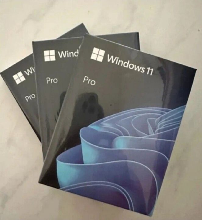 [Retail Box] Windows 11 Pro OEM (USB Flash Drive) | Lazada Singapore