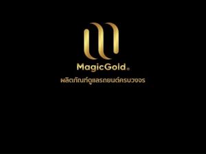 Magic Gold น้ํายาเคลือบเงายางดํารถยนต์ สูตรกันสุนัขฉี่ 500 ซีซี