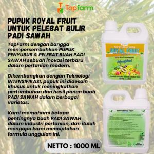 Pupuk Topfarm untuk Meningkatkan Produksi Padi