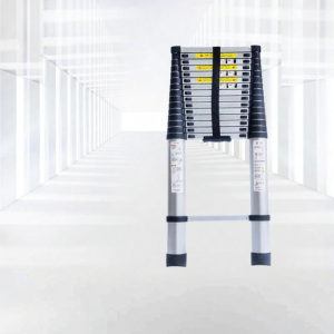 MOLORE | Portable Home Tele Scopic Folding Ladder