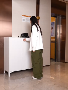Steel Shoe Cabinet Household Door Indoor Locked Porch Entrance Large Capacity Multi-layer Storage Password Lock Locker