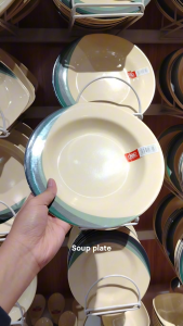 Smart Home Ph Greenish Rays Design Melamine Dinnerware Plates/bowls/spoon affordable (K-GREENISH RAYS)