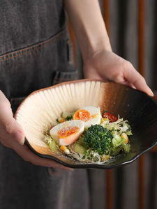 Retro Style Ceramic Salad Bowl Dining Utensils Underglaze Color Restaurant Quality Cold Dish Noodle Stir-Fry Serving Plate
