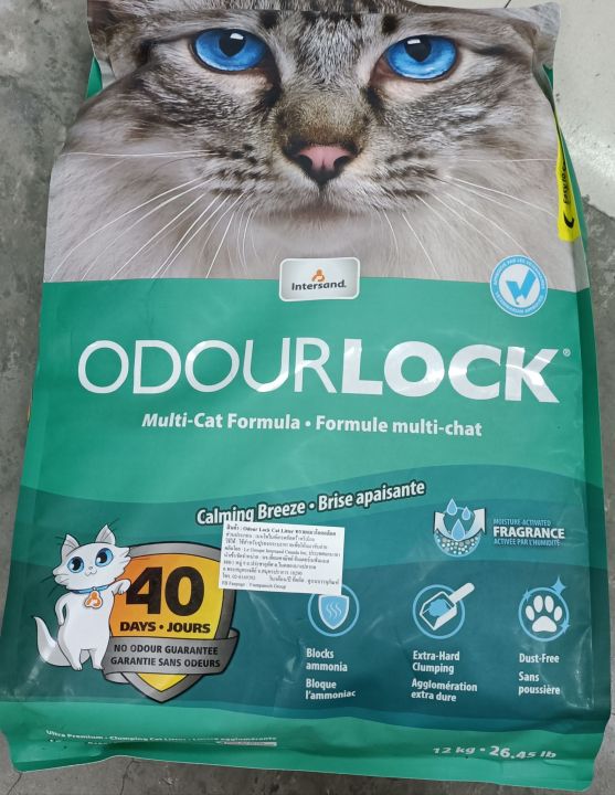 ทรายแมว ยี่ห้อ ODOURLOCK CAT Litter ขนาด6กิโล (1ถุง) Lazada.co.th