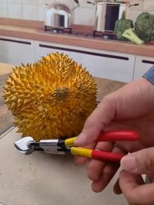 【SHIP IN 24H】Durian Opener Clip Rustproof Pliers Metal Breaking Tool for Restaurant Household Cooking Supplies