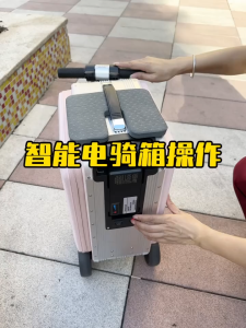 Smart Electric Ride-On Suitcase Spinner Wheel Luggage Travel Business Suitcase Boarding Luggage