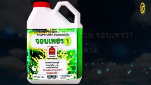 เครื่องดอกลำไย ชนิดฉีดพ่นจอบเพชร 1 ขนาด 5 ลิตร สารฉีดพ่นทางใบ สีเขียว