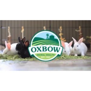 Oxbow Farm Fresh Hay # Timothy Botanical Alfalfa Hay # Rabbit Guinea Pigs Chinchilla Small Animals # 425g / 570g