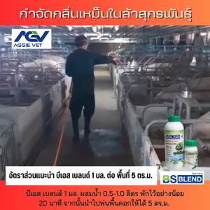 250 มล จุลินทรีย์ บีเอส เบลนด์ (BS BLEND) บำบัดกลิ่น ย่อยสลาย คุณภาพเหม็น ถูกกายและดำเนินการอย่างง่าย