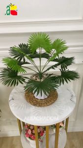 Tanaman Hias Daun Plastik Artificial & Dekorasi Interior Rumah