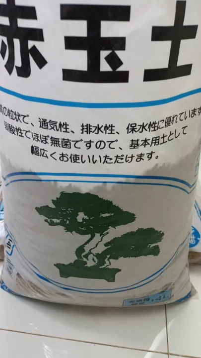 5 อันดับ ดินญี่ปุ่น Akadama ยี่ห้อไหนดีสำหรับแคคตัสและบอนไซ อัปเดตปี 2025