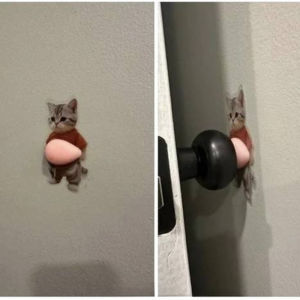 Adorable Cat & Dog Belly Door Handle Protector & Anti Collision Stickers