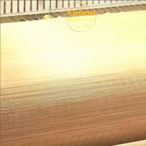 Mành Tăm Trúc Rộng 18m x 2m/ 3m Mành Tăm Trắng Phụ Kiện Background Trung Thu Chụp Hình Cưới Hỏi Mành Tăm Tre Decor Tiệc Cưới Phòng Trà Trang Trí Tết