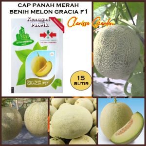 BENIH CAP PANAH MERAH MELON HIBRIDA GRACIA F1 (KEMASAN PABRIK)