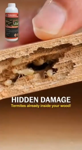 (Buy 1 Get 1) Termikill Pro 500ml - Kills Termites and Pest Fast-Acting Safe Easy to Use