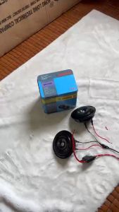 COMBO 10 đôi còi đĩa BOSECH. Điện 12v và 24v