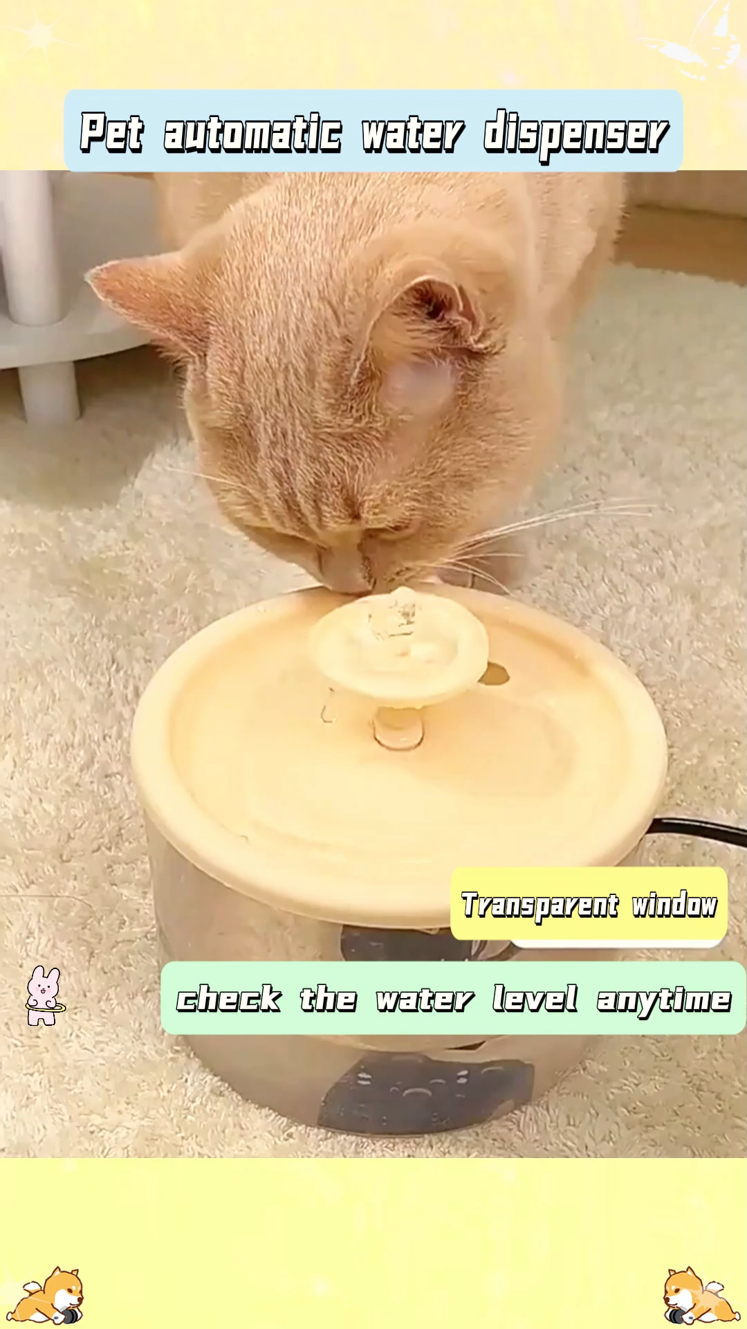 Auto Cat Water Fountain & Feeder | Filtered Circulating Design Ergonomic Neck-Care for Cats Dogs