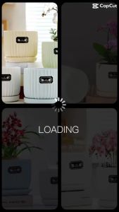 Chậu gốm sứ để bàn - Chậu gốm trồng cây kiểng mini