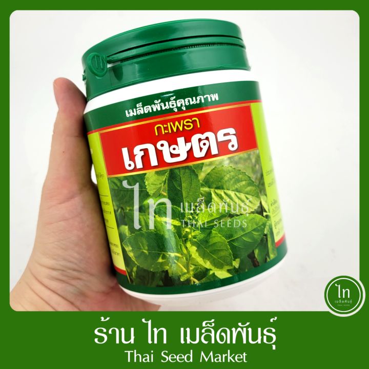 10 อันดับเมล็ดพันธุ์ผักสวนครัวยอดนิยมปลูกง่าย ได้ผลดี อัปเดตปี 2025