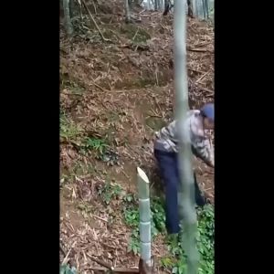 YoPo High-Manganese Steel Double-Headed Tool: A Multi-Purpose Gardening Solution