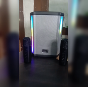 Sofia T-606 Wireless Speaker Enhanced Bass With 2 Portable Microphone