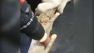 Tapered Abrasive Cloth Grinding Head Cone Abrasive Cloth Durable Sanding Wheels Polishing Tool with Handle