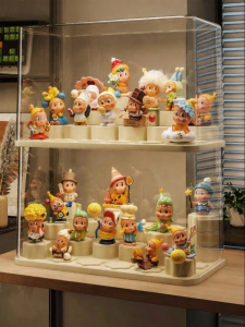 Dustproof Display Shelf