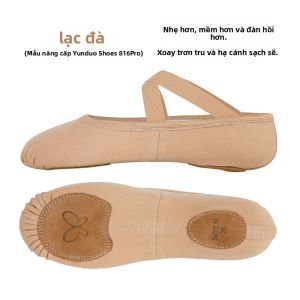 Giày Khiêu Vũ Lưới Co Giãn Cho Nữ Giày Khiêu Vũ Chuyên Nghiệp Bằng Vải Co Giãn Đế Mềm Giày Tập Luyện Giày Móng Vuốt Mèo