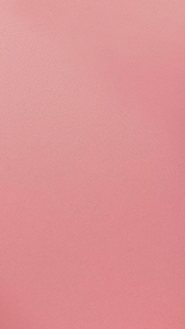 (Isi 50 Pcs) Paper Lunch Box Lunch M & L Ekonomis Siap Pakai Sudah Bentuk