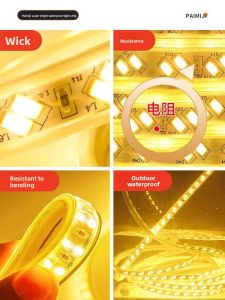 PAIMIJI | Ultra Bright Waterproof Outdoor LED Light Strip 220v