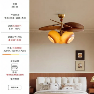 FANCY LAMP CLUB | Vintage Style Eye Protection Ceiling Light
