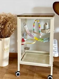 Tempered Glass Front Back Clear View Bird Cage | Parrot Cage with Anti-Escape Dual Latch Lock | 34×35×61cm