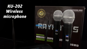 RAYHAYES Wireless Microphone UHF Dual Channel for Videoke Performance Christmas Party