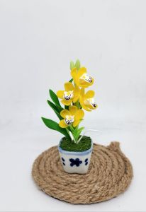 กล้วยไม้ กล้วยไม้ดินปั้น ขนาดเล็ก สูง 10 เซนติเมตร