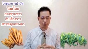 Krachai-Plus ส่งฟรี : กระชายขาว กระชายแคปซูล กระชายเม็ด กระชายหัว โสมไทย หัวกระชาย กระชายสกัด กระชายผง กระชายกิฟฟารีน