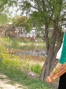 ผลิตจากเนื้อไม้บีช ผลิตจากเนื้อไม้สวยและคุณภาพดี Beech wood Project Easel - ขาตั้งภาพ ขาตั้งรูป ปรับขนาดได้ พับเก็บได้ ง่ายต่อการพกพา