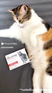 ARMETAB ZINC+ อาร์มีแท็บ ซิงค์ พลัส ผลิตภัณฑ์อาหารเสริมป้องกันปรสิตและดูแลสุขภาพแบบองค์รวม(สำหรับแมว) 1 กล่อง 12 เม็ด