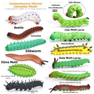 Silicone Simulated Caterpillar Model Early Education