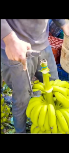 Alat Susruk Tandan Buah Pisang dari Baja Asli Hasil Rapi