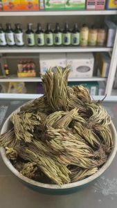 Cây Trường Sinh - Quyển Bá - Móng Lưng Rồng 1kg