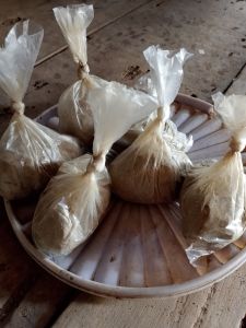 jual kucur uyup. baung