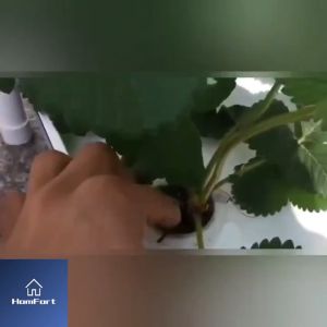 10PCS Hydroponic Colonization Mesh Pot Net Cup Basket Hydroponic Aeroponic Planting Grow Clone Nursery Plant Soilless