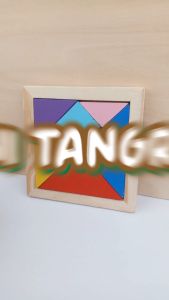 Wooden Mini Tangram Tetris Developmental Brain Teaser Puzzle for Kids by WISHLAND