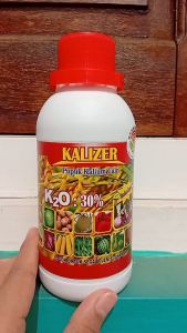 Kalizer Pupuk Kalium Cair – Percepat Pembungaan & Pembuahan