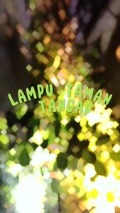 Lampu Taman Led 5w 5 watt COB Tancap Sorot Lukisan Dekorasi Taman 5 w