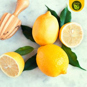 50 seeds for planting binhi pantanim lemon fruit plant