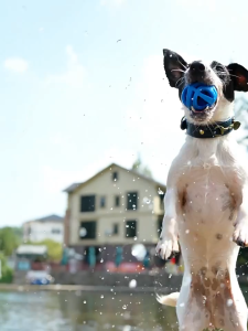 Pet Friendly Permeable Ball Chewable Breathable Prevents Stuffy Mouth Interactive Ball